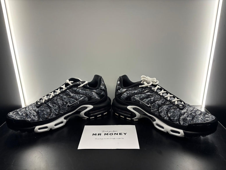 Nike Air Max Plus Dark Smoke Grey
