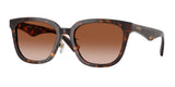 Dark Havana - Brown gradient