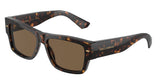 Havana - Dark brown