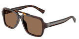Havana - Dark brown