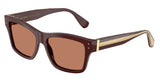 Chocolate - Brown