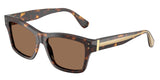 Havana - Dark brown