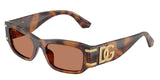 Red Havana - Brown