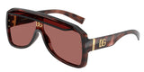 Pink Havana - Dark violet
