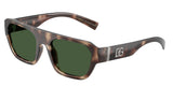 Brown Havana - Dark green