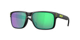 Matte Black / Prizm road jade
