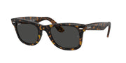 Havana On Transparent Brown / Dark grey
