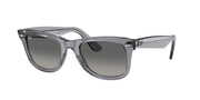 Transparent Grey / Light grey gradient dark grey