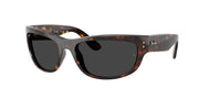 Havana / Polarized black