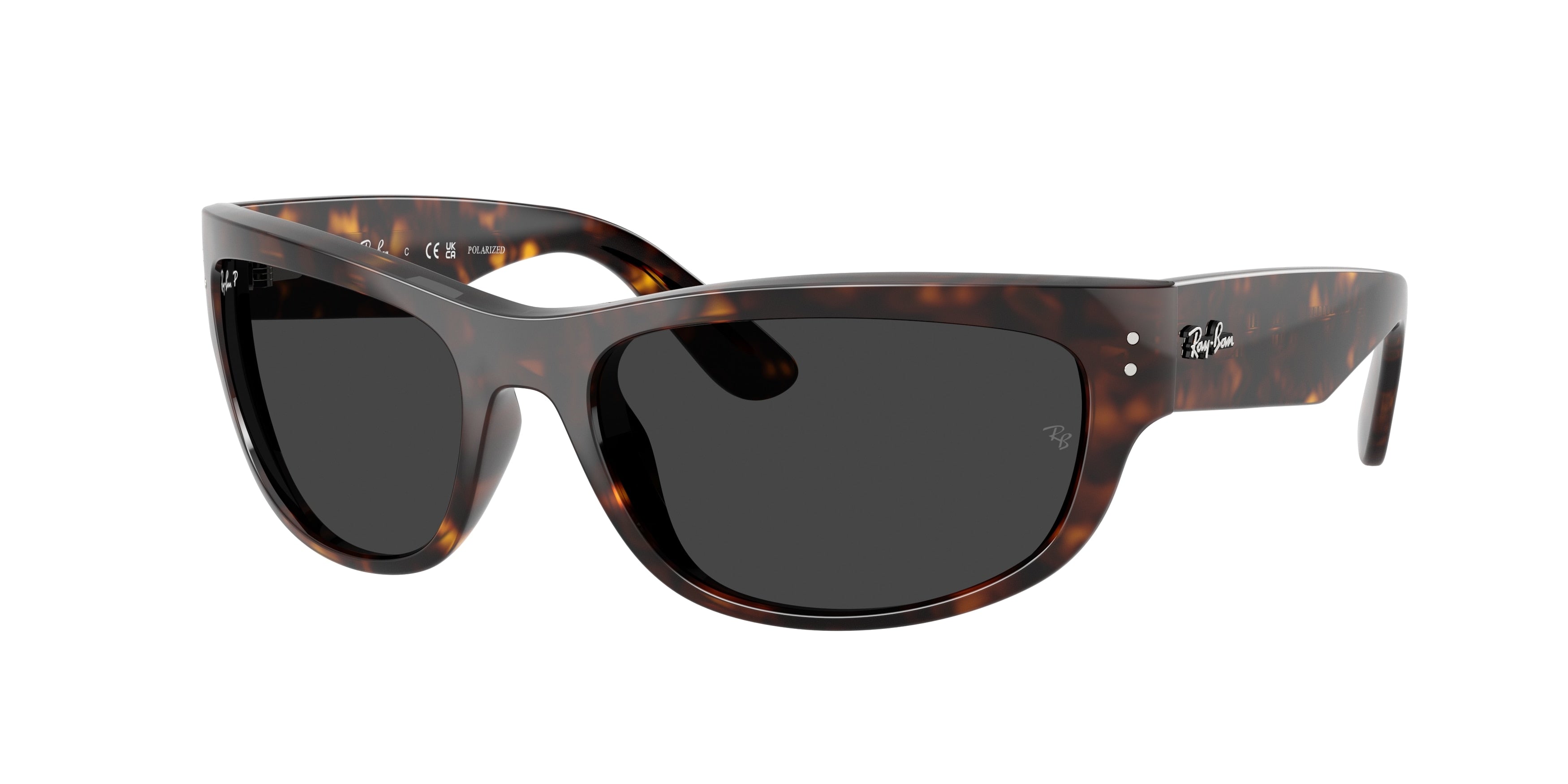 Ray-Ban RB2289 Mega balorama Sunglasses - Havana / Polarized black