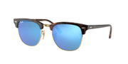 Havana On Gold / Solid color