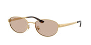 Arista gold - Light brown / 