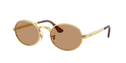 Arista gold / Brown / 