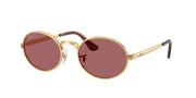Arista gold / Purple polarized / 