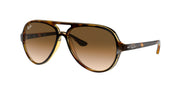 Light Havana / Light brown gradient