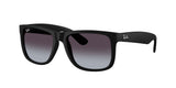 Rubber Black / Solid color
