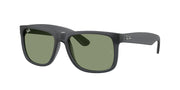 Opal Grey / Green