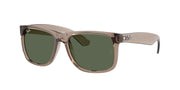 Transparent Brown / Dark green