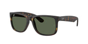 Rubber Havana / Dark green