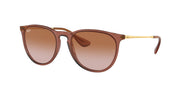 Transparent Light Brown / Gradient brown