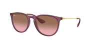 Transparent Violet / Pink gradient brown