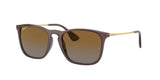 Transparent Brown / Brown polarized