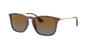Transparent Brown / Brown polarized
