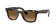 Havana - Polarized brown gradient / 