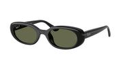 Black / Polarized dark green