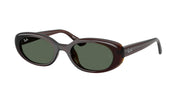 Transparent Brown / Dark green