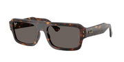 Havana / Dark grey