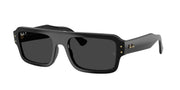 Black / Polarized black