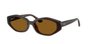Dark Brown / Dark brown polarized