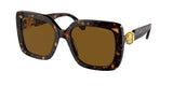 Havana / Polarized brown