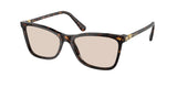Dark Havana / Photo brown