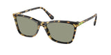 Havana / Dark green