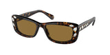 Dark Havana / Bronze