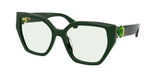 Dark Green / Transition green