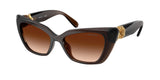 Transparent Brown / Brown gradient