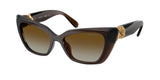 Transparent Brown / Polarized brown gradient