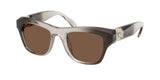Gradient Beige / Dark brown