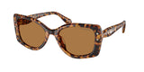 Light Havana / Bronze