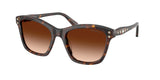 Havana / Gradient brown