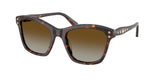 Havana / Polarized brown gradient