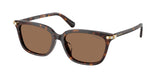 Havana / Dark brown