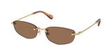 Gold / Dark brown