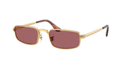 Arista gold / Purple polarized