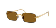 Arista gold / Dark brown polarized