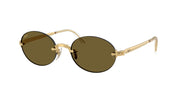 Arista gold / Dark brown
