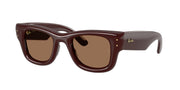 Dark brown / Dark brown